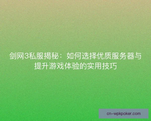 剑网3私服揭秘：如何选择优质服务器与提升游戏体验的实用技巧